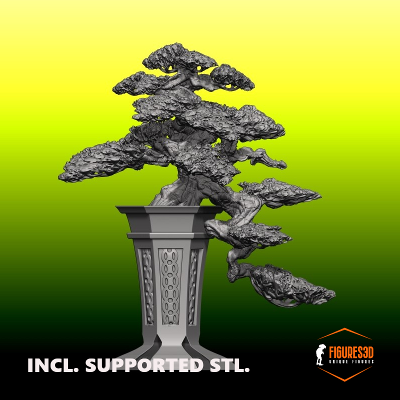 bonsai 3